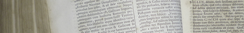 Wachter: Glossarium Germanicum